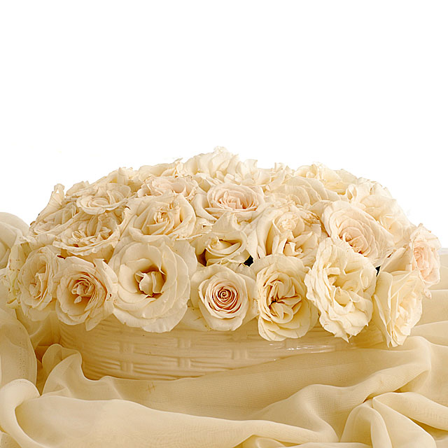 Pearl Blankets White Roses - White Roses