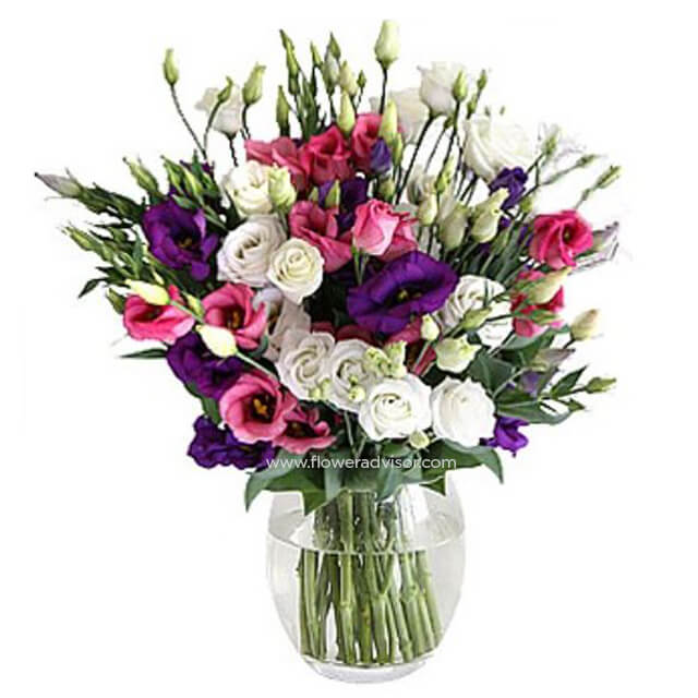 Lisianthus Hand Tied - Mothers Day
