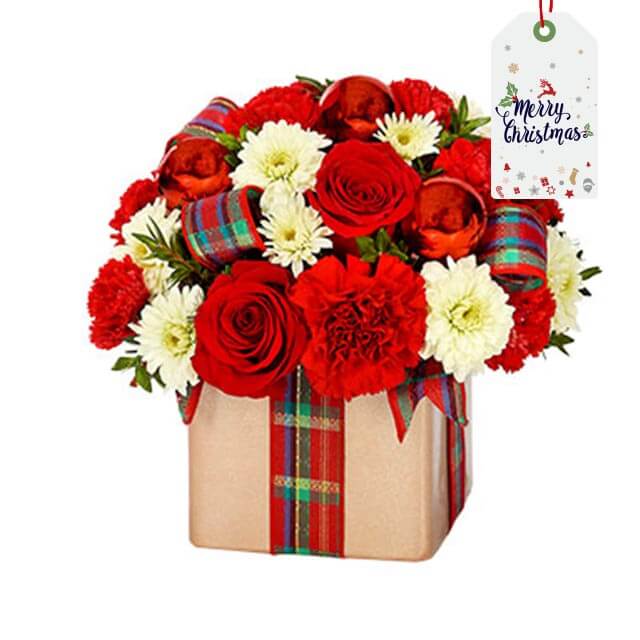 Xmas - Holiday Flower Gift Present - Christmas