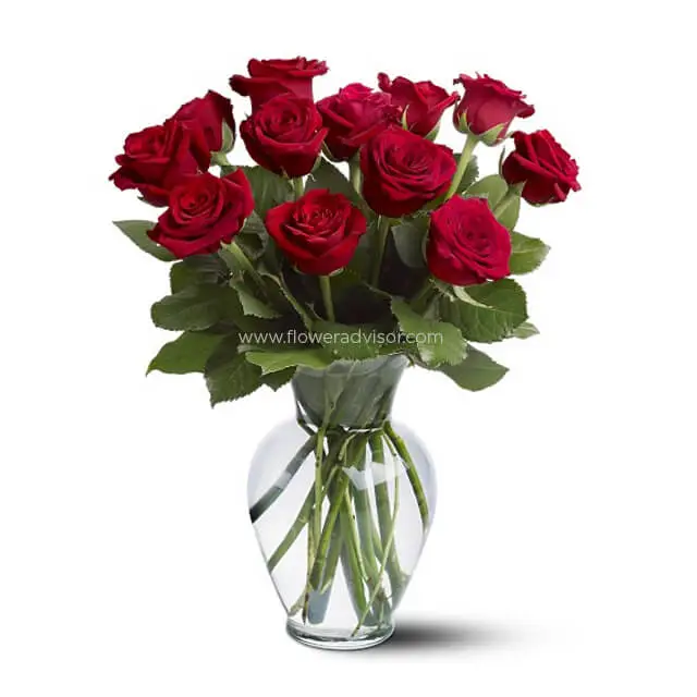 Friday Only Rose Special II - Red Roses