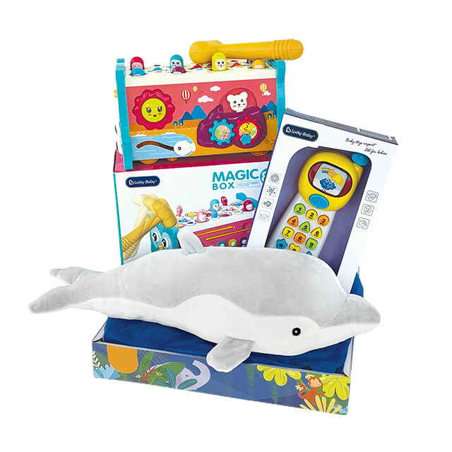 Play & Learn Gift - Baby Gifts