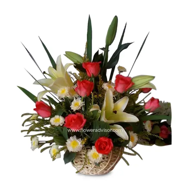 Vivid - Hand Bouquets