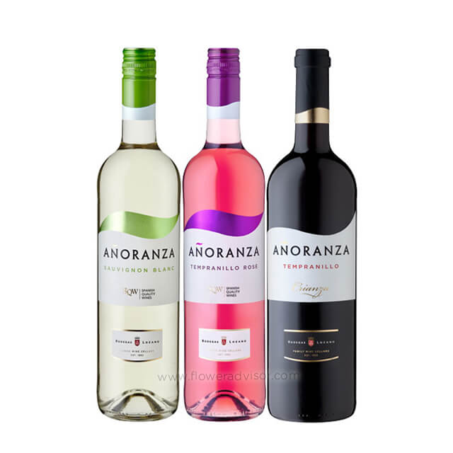 3 Bottles of Sunny Spanish Wines - Wine Gifts Basket
