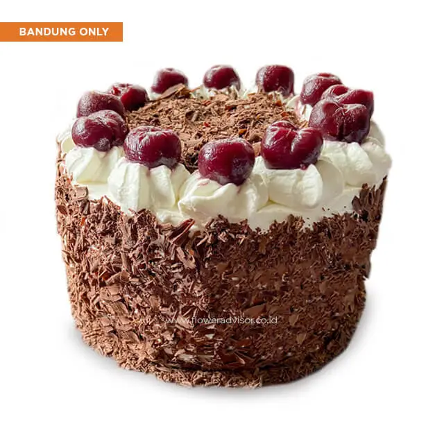 Traditional Black Forest - Birthday