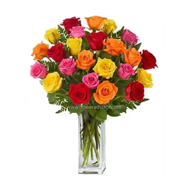 24 Long Stemmed Mixed Roses - Mixed Roses