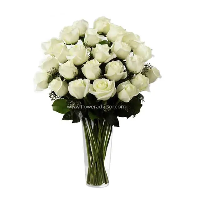 Two Dozen Long Stemmed White Roses - White Roses