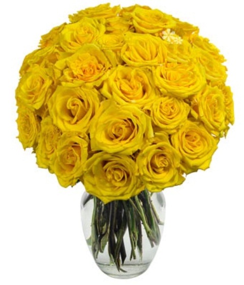 Two Dozen Yellow Roses - Get Well Soon