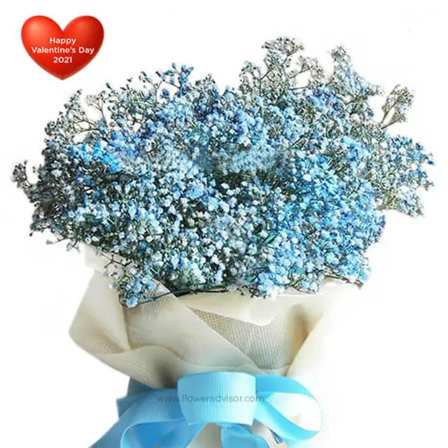 VDAY 2021 - Blue Clouds - Valentine's Day