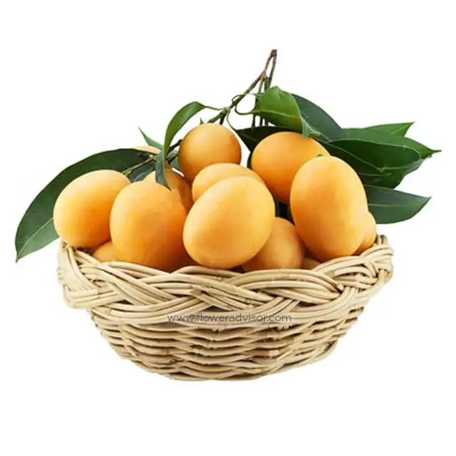 Mangoes Gift Basket - Fruits Baskets