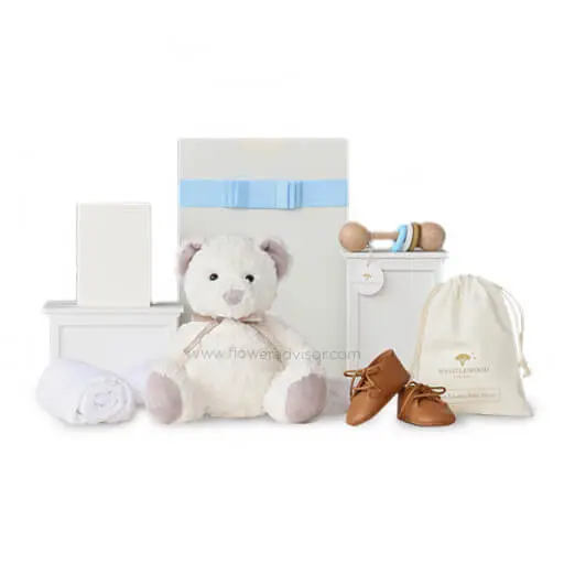 Sheridan Bear Baby Boy - Baby Gifts
