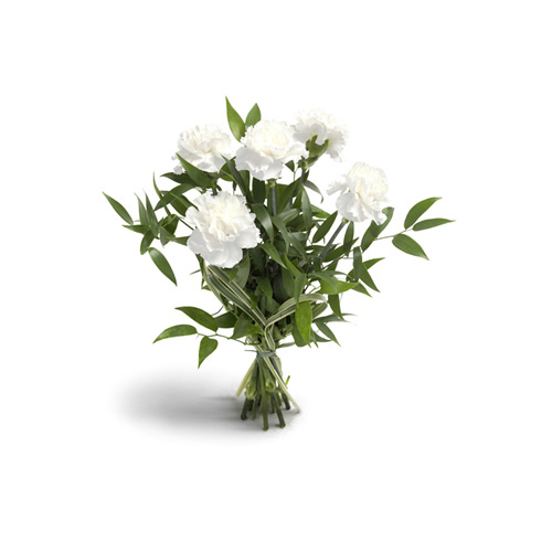 White Carnations - Mothers Day