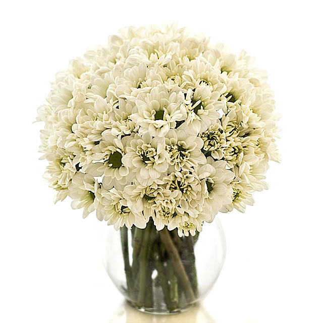 Snowball Sensation - Table Flowers